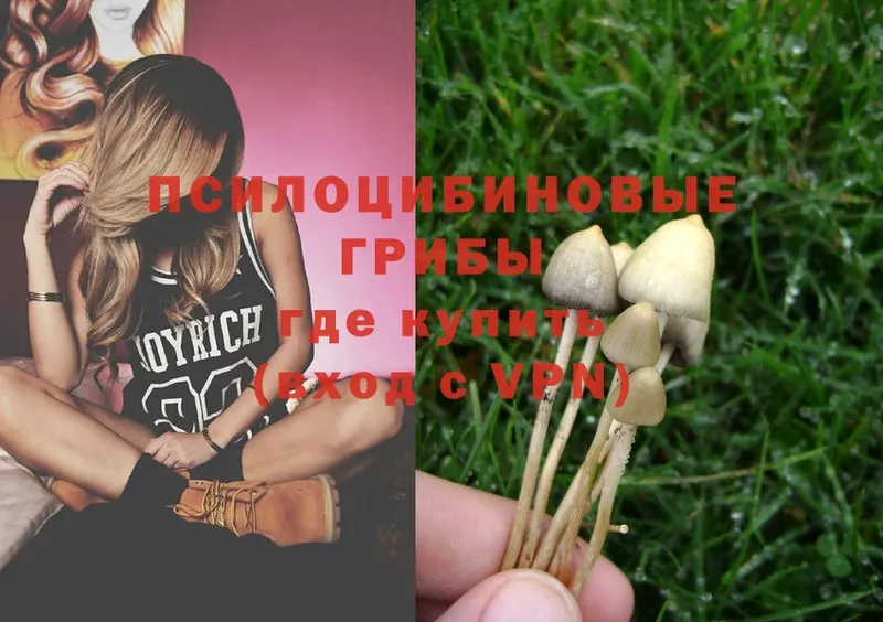 Галлюциногенные грибы Magic Shrooms  блэк спрут рабочий сайт  Тавда 